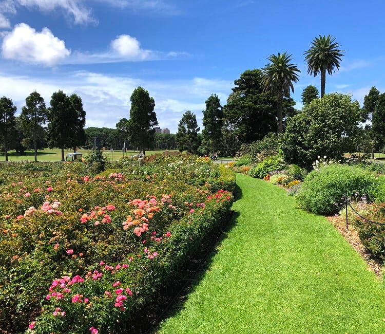 sydney garden tours