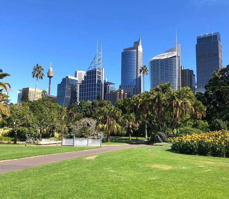 are dogs allowed in botanic gardens sydney