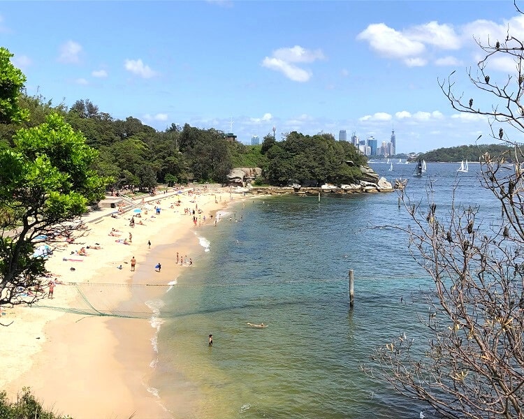 Shark Beach at Nielsen Park