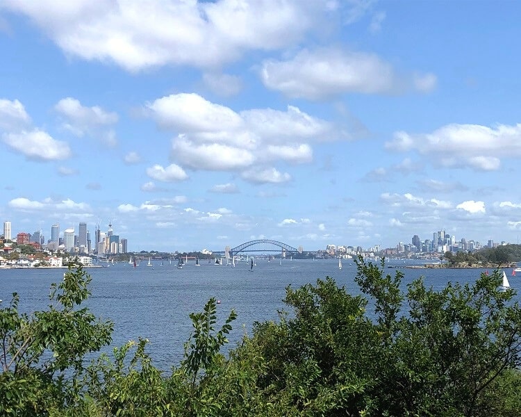 Sydney Harbour views from Rose Bay