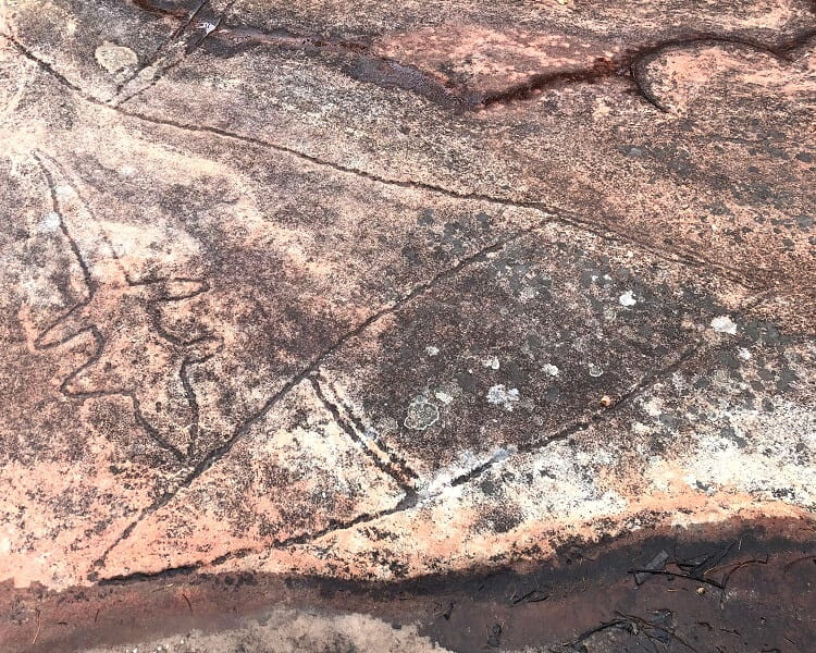 Aboriginal engravings close to America Bay