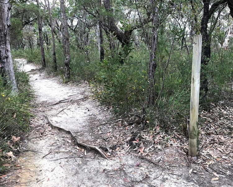 Intersection to Aboriginal engravings site