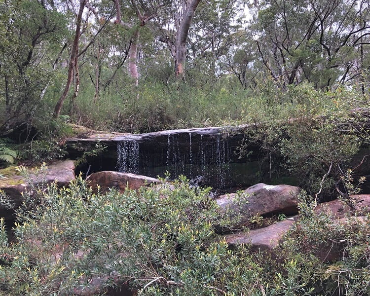 Small waterfall on the America Bay Track