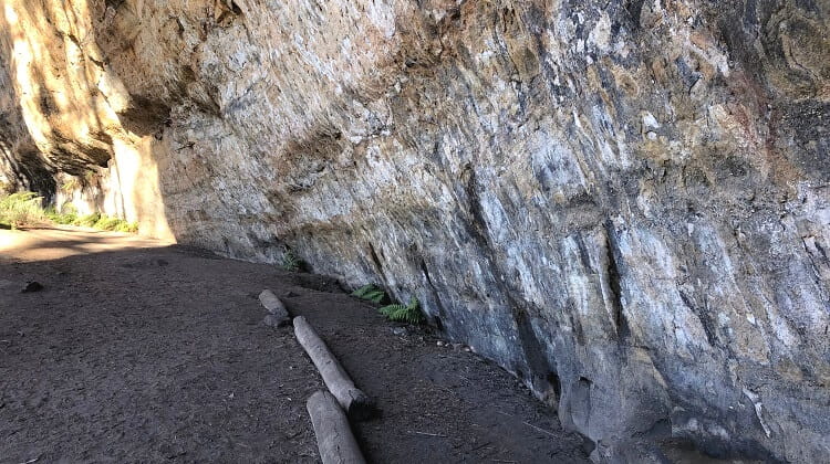 Blackfellows Hand Cave and walking trail