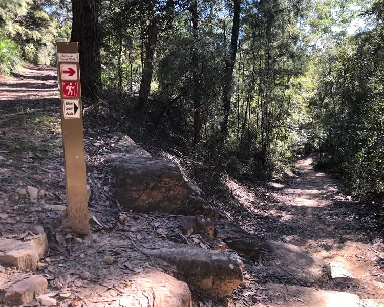 Intersection with trail to Joes Mountain