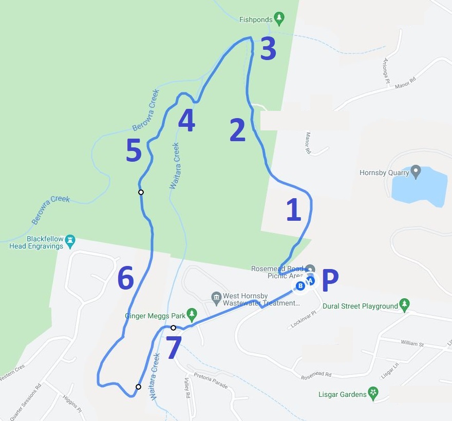 Map and route of the Blue Gum Walk