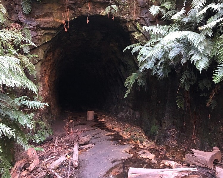 Entrance to the Glow Worm Tunnel