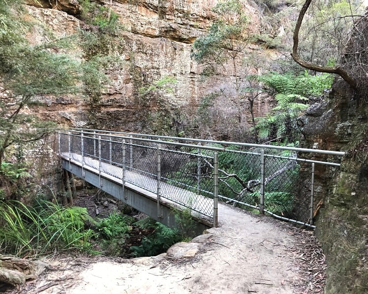Bridge along the walking track to the Glow Worm Tunnel