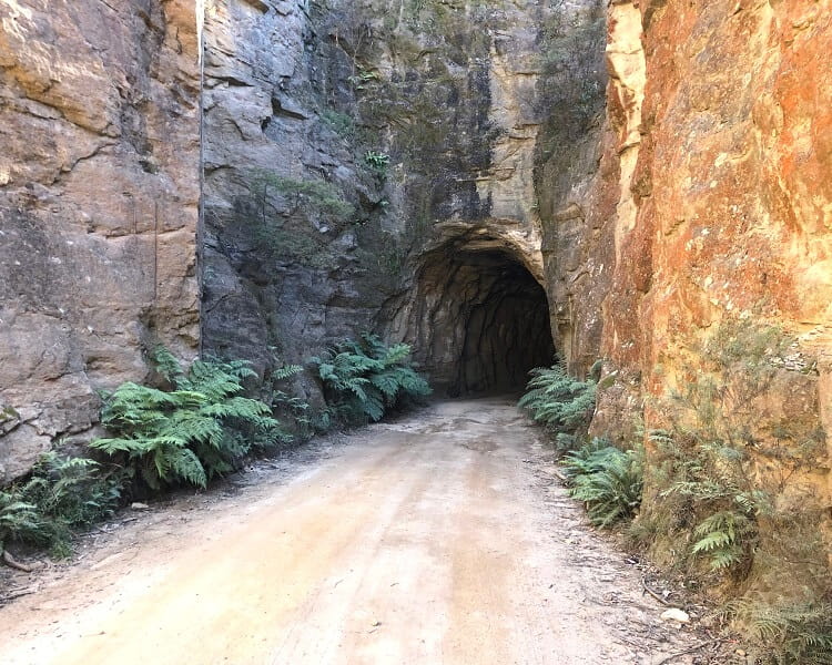 Glowworm Tunnel Road