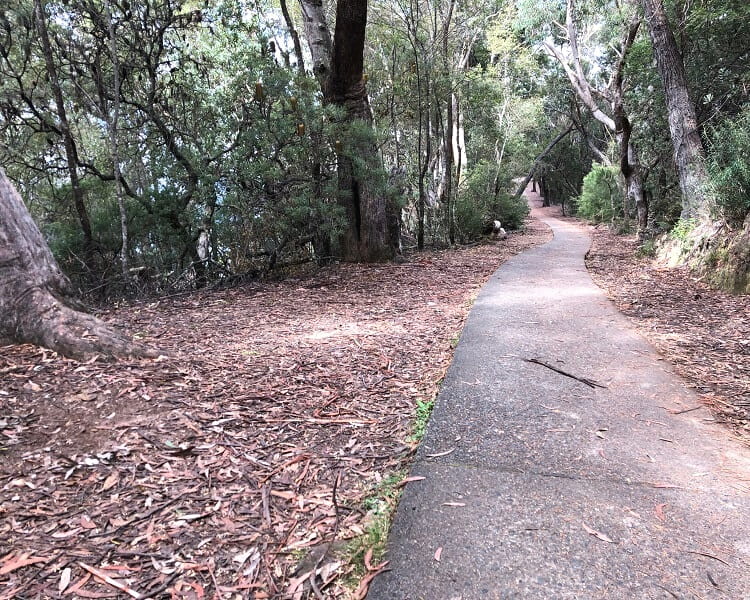 Walking path to Sublime Point