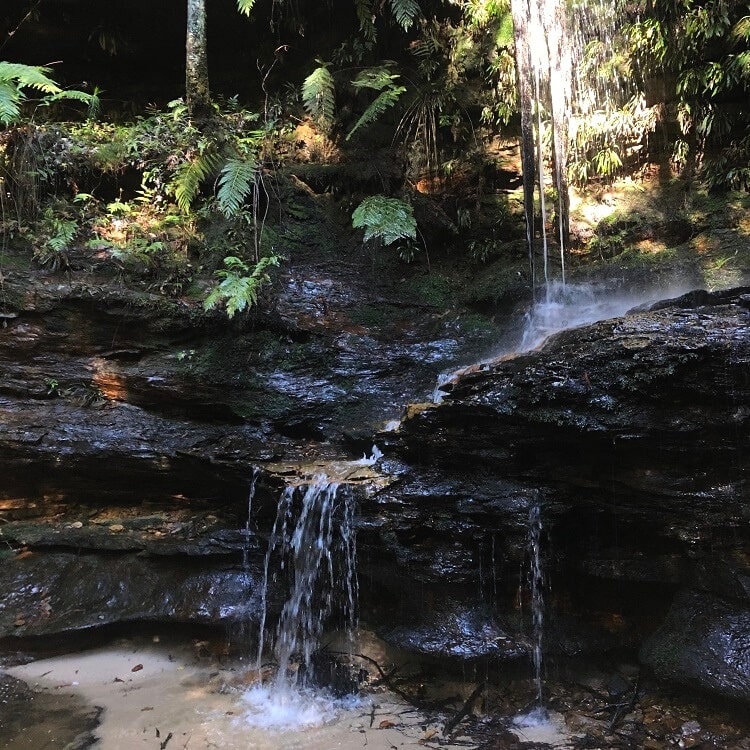 Burgess Falls in Hazelbrook