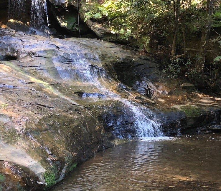 Fairy Falls in Hazelbrook