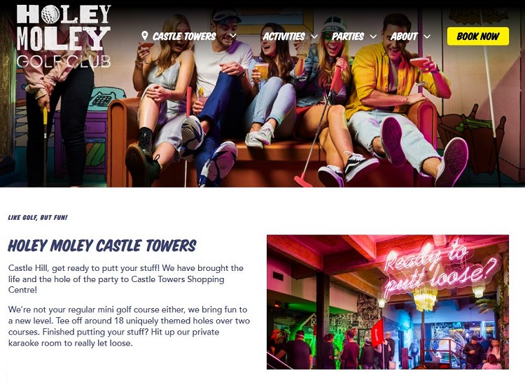 Holey Moley Castle Towers