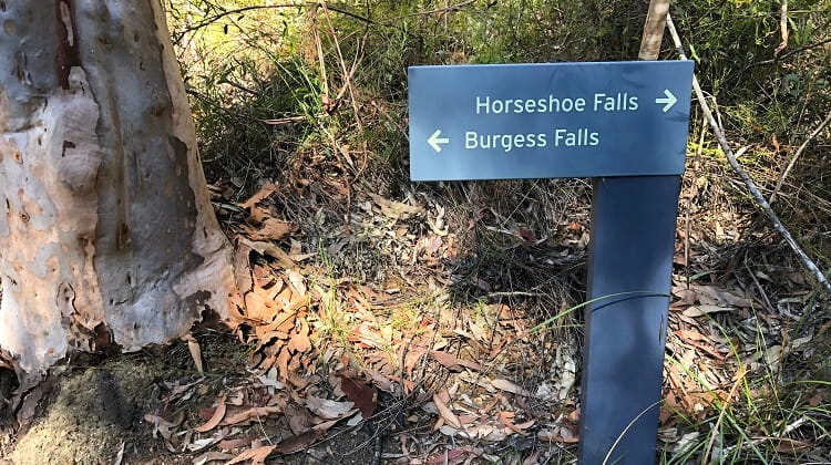 Horseshoe Falls walking track in Hazelbrook