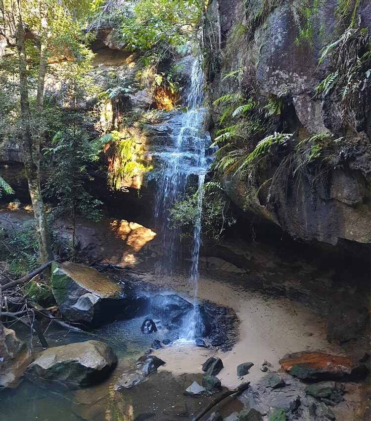 Horseshoe Falls in Hazelbrook