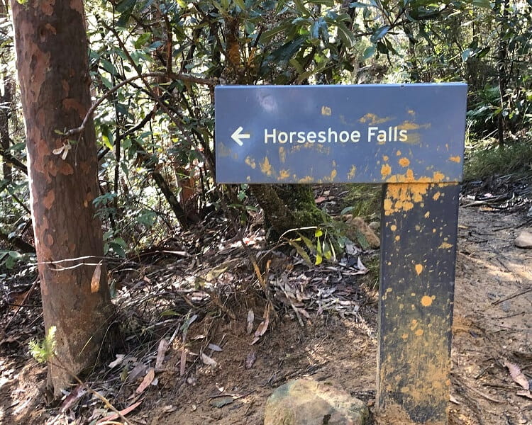 Path to Horseshoe Falls
