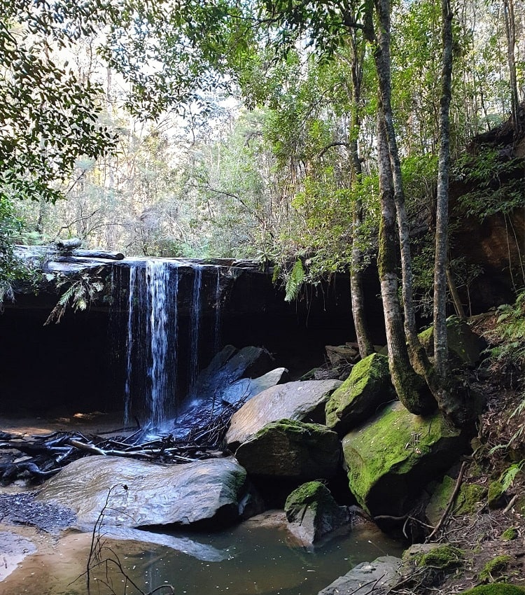 Oaklands Falls in Hazelbrook