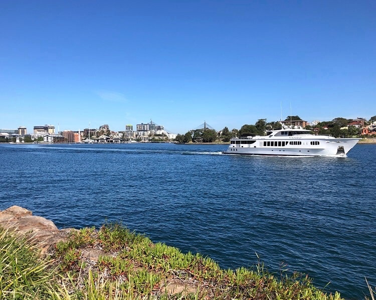 Scenic Harbour views from Barangaroo Reserve