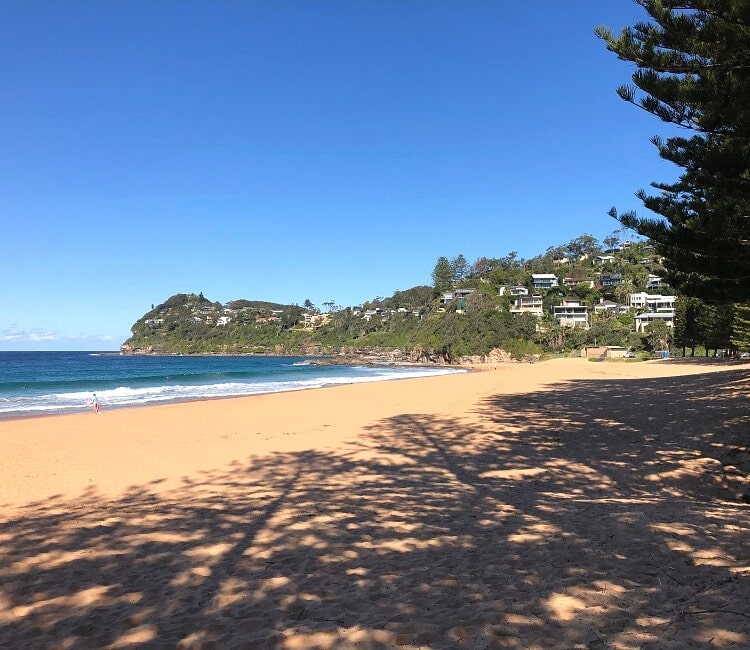 Whale Beach with Careel Head in the background