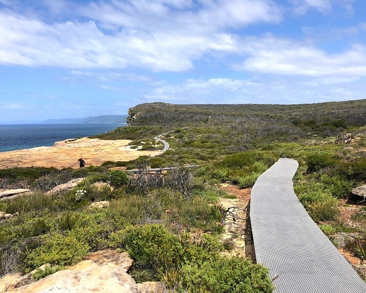 Boardwalk on the Coast Track