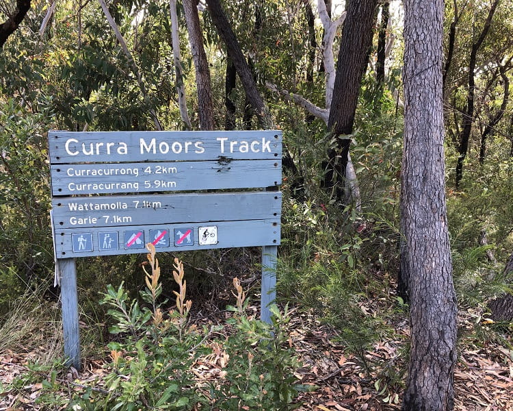 Start of the Curra Moors Track