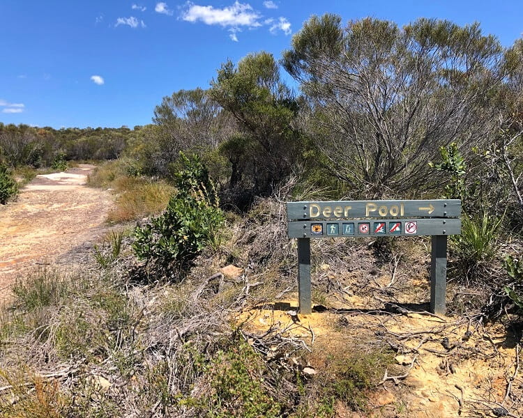 Deer Pool signpost on the Little Marley Firetrail