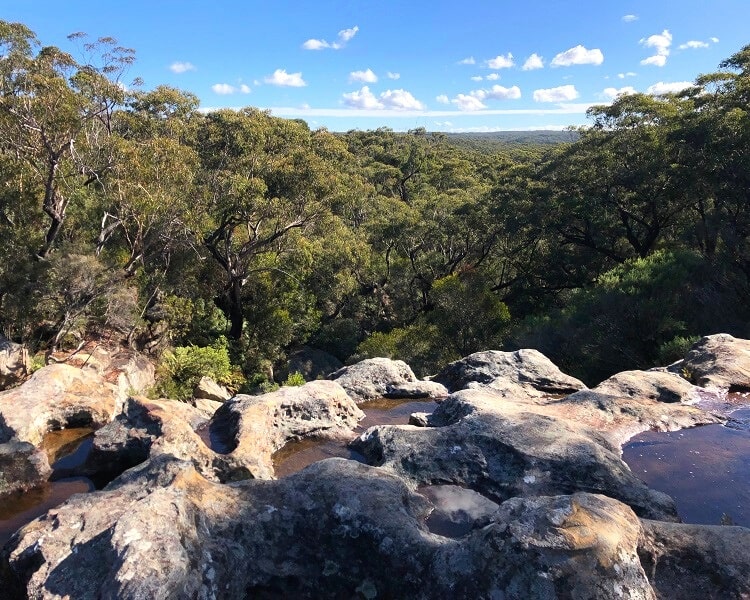 Top of Maddens Falls