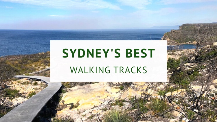 Best walks in Sydney (complete guide)