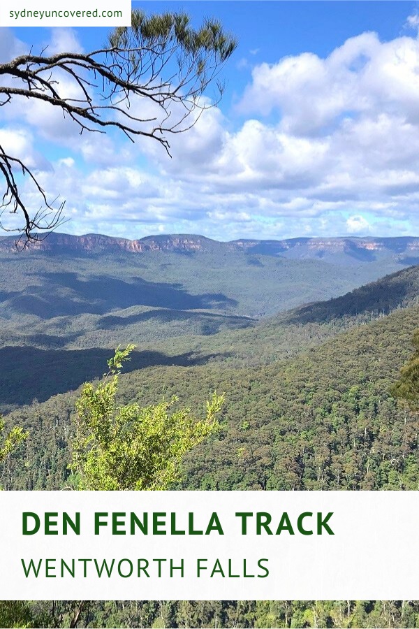 Den Fenella Track in Wentworth Falls