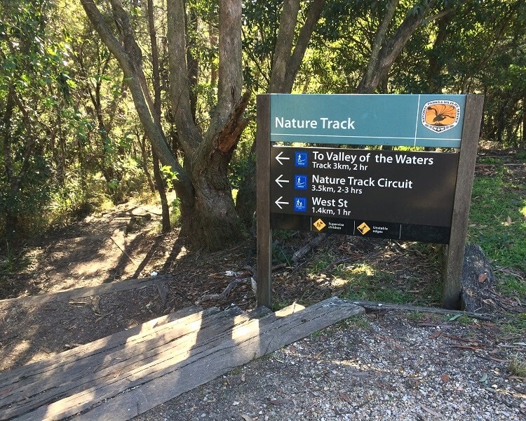 Start of the Nature Track in Wentworth Falls