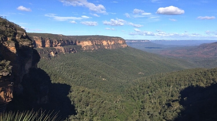 Nature Track in Wentworth Falls