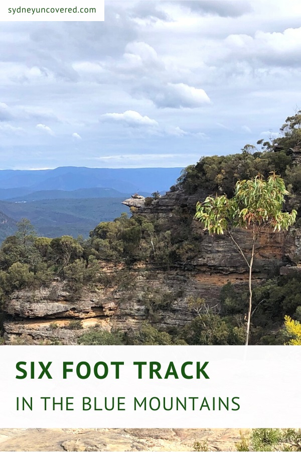 Six Foot Track in the Blue Mountains