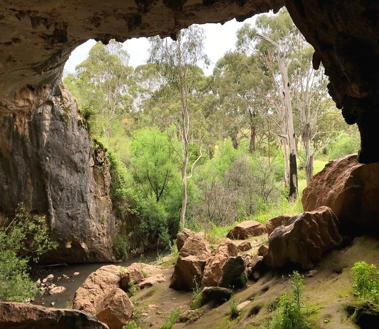 Arch Cave in Borenore Karst Conservation Reserve