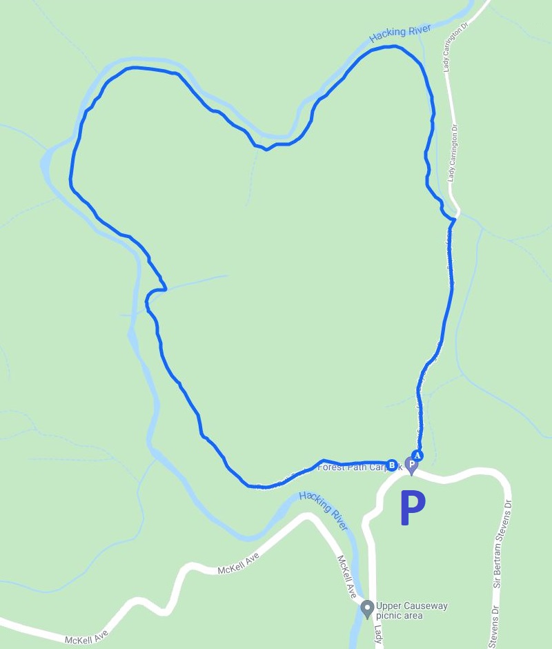 Map and route of the Forest Path