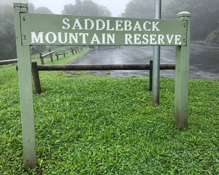 Saddleback Mountain Reserve