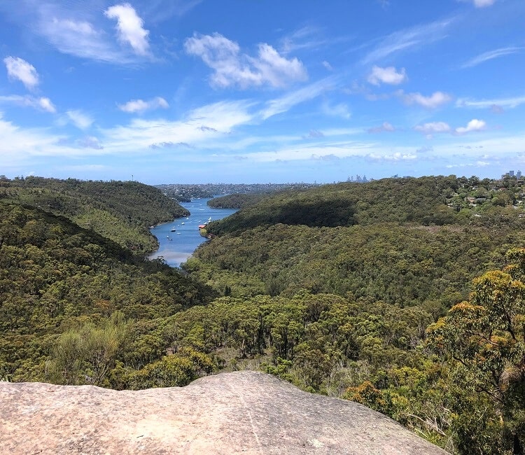 The Bluff Lookout