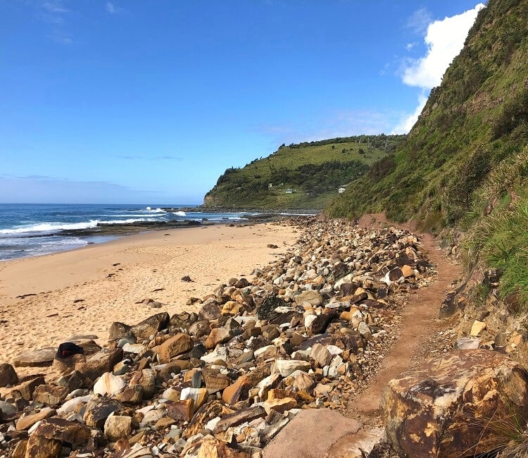 Walking trail behind Garie Beach