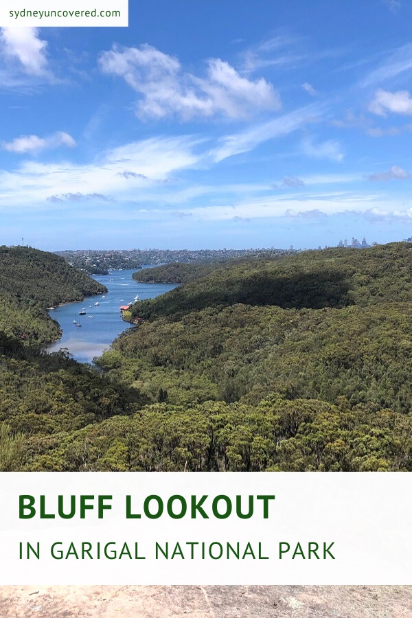 Bluff Lookout in Garigal National Park