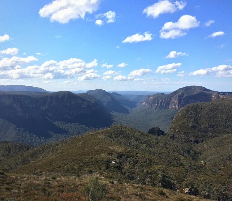 Lockleys Pylon Track in the Blue Mountains