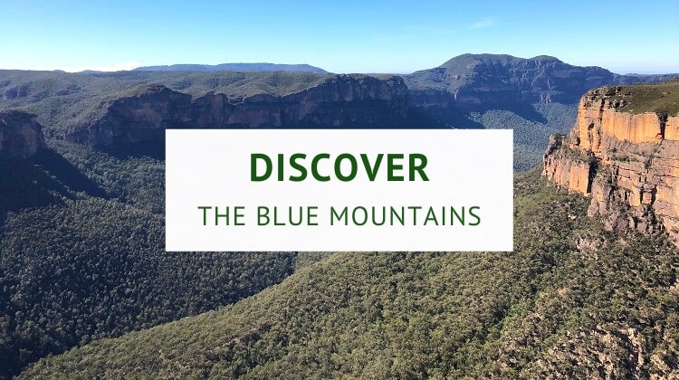 Discover the Blue Mountains