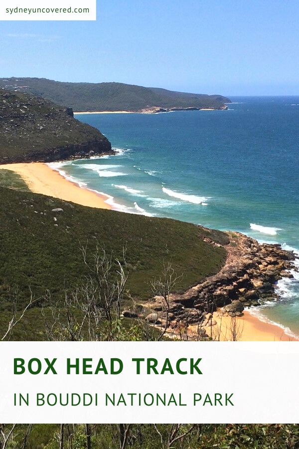 Box Head Track in Bouddi National Park