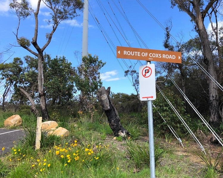 Cox's Road in Linden