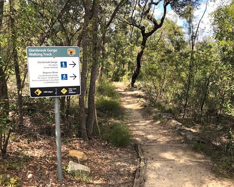 Start of the Glenbrook Gorge Track