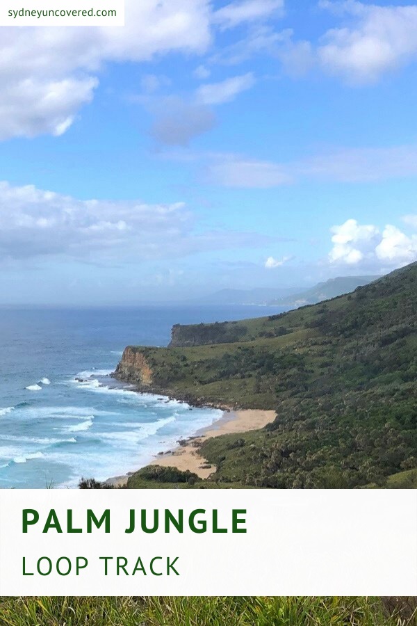 Palm Jungle Loop Track in Royal National Park
