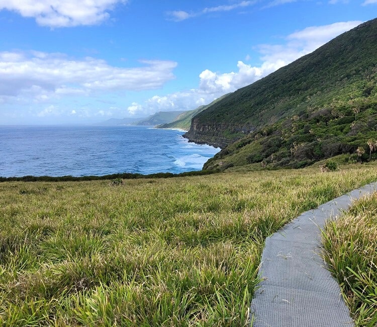 Coastal views along the Palm Jungle Loop Track