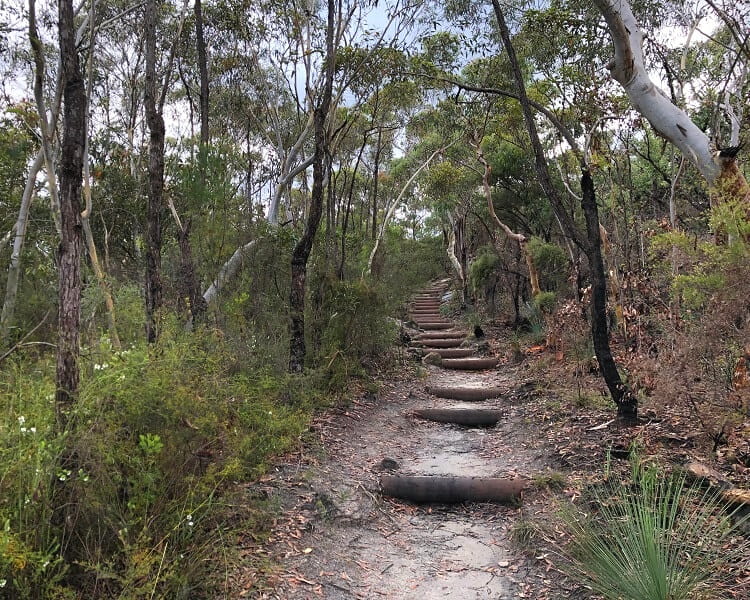 Walking track to Paradise Pool