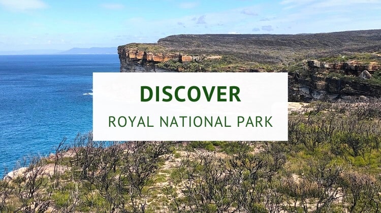 Discover Royal National Park