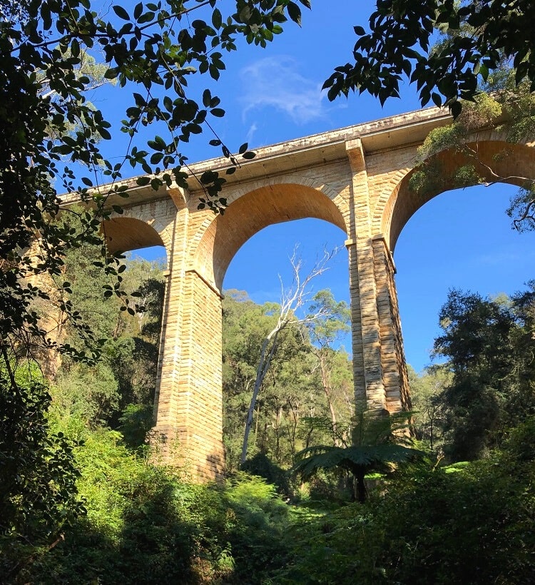 Bottom view of the Knapsack Bridge