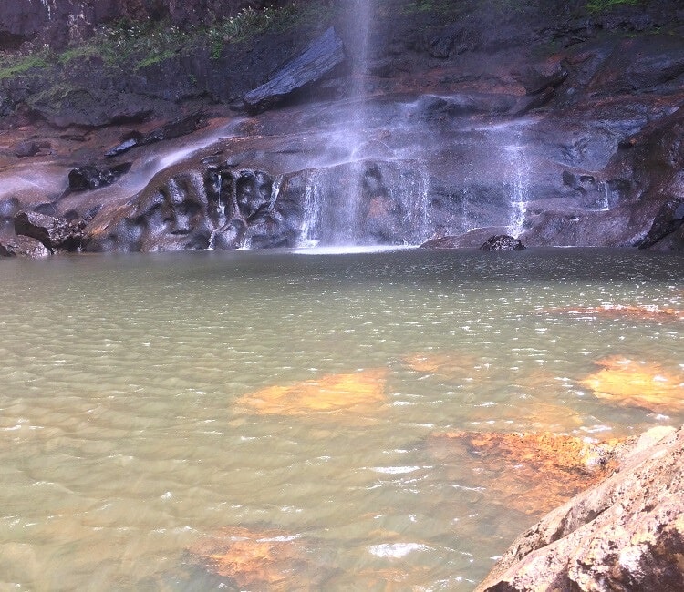 Pool at the base of Minyon Falls