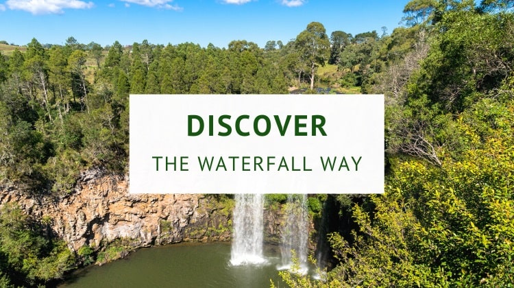 Waterfall Way (highlights and itineraries)